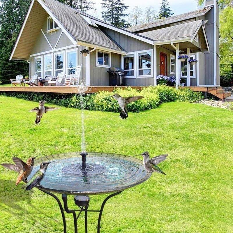 🎉Limited Time 49% OFF 🐦️Solar-Powered Bird Fountain Kit